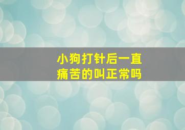 小狗打针后一直痛苦的叫正常吗