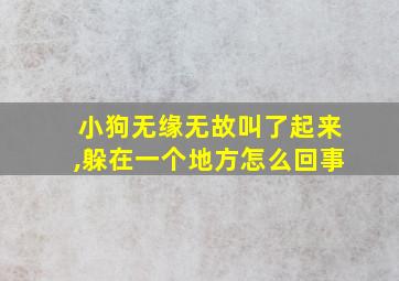 小狗无缘无故叫了起来,躲在一个地方怎么回事