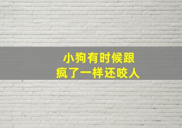 小狗有时候跟疯了一样还咬人