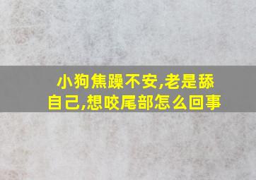 小狗焦躁不安,老是舔自己,想咬尾部怎么回事