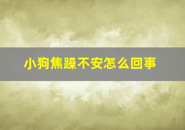 小狗焦躁不安怎么回事