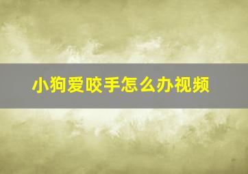 小狗爱咬手怎么办视频