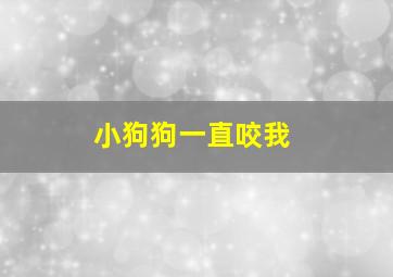 小狗狗一直咬我