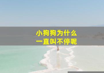 小狗狗为什么一直叫不停呢