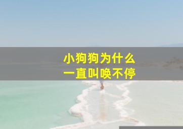 小狗狗为什么一直叫唤不停