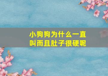 小狗狗为什么一直叫而且肚子很硬呢