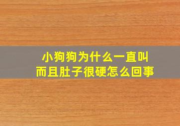 小狗狗为什么一直叫而且肚子很硬怎么回事