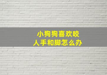 小狗狗喜欢咬人手和脚怎么办