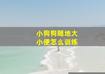 小狗狗随地大小便怎么训练