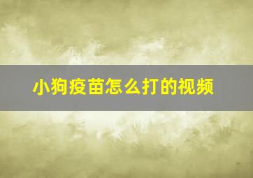 小狗疫苗怎么打的视频