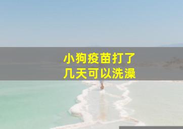 小狗疫苗打了几天可以洗澡