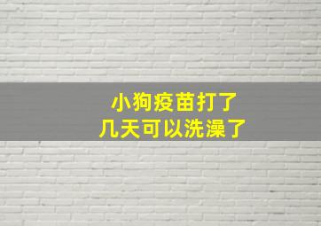 小狗疫苗打了几天可以洗澡了