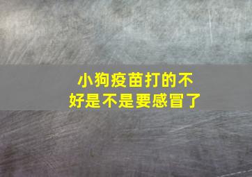 小狗疫苗打的不好是不是要感冒了