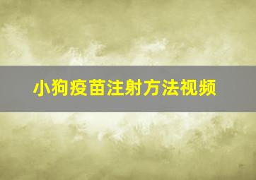 小狗疫苗注射方法视频