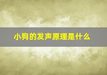 小狗的发声原理是什么