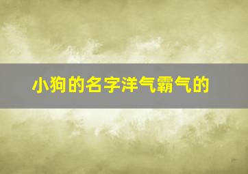 小狗的名字洋气霸气的