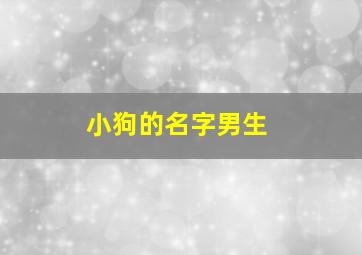 小狗的名字男生