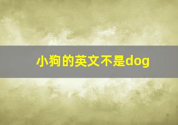 小狗的英文不是dog