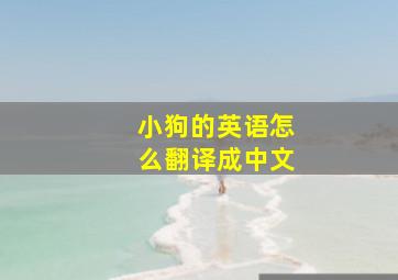 小狗的英语怎么翻译成中文