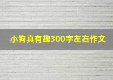 小狗真有趣300字左右作文