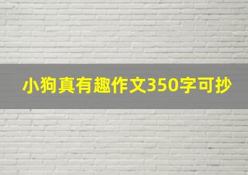 小狗真有趣作文350字可抄