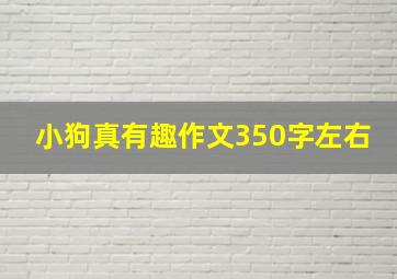 小狗真有趣作文350字左右