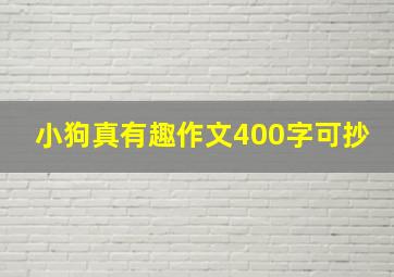 小狗真有趣作文400字可抄