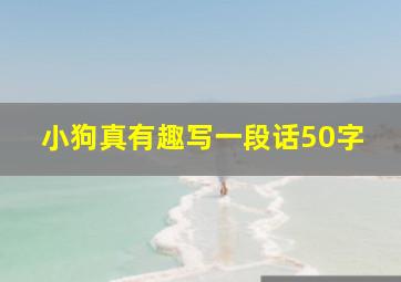 小狗真有趣写一段话50字