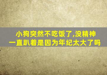 小狗突然不吃饭了,没精神一直趴着是因为年纪太大了吗