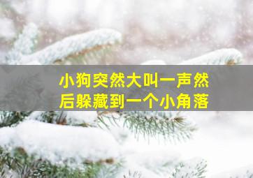 小狗突然大叫一声然后躲藏到一个小角落