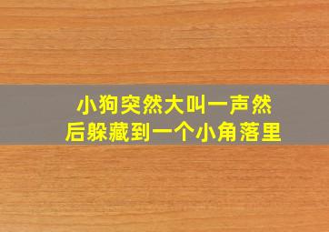 小狗突然大叫一声然后躲藏到一个小角落里