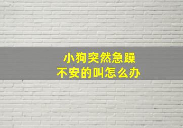 小狗突然急躁不安的叫怎么办