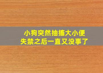 小狗突然抽搐大小便失禁之后一直又没事了