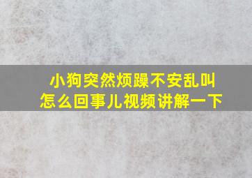 小狗突然烦躁不安乱叫怎么回事儿视频讲解一下