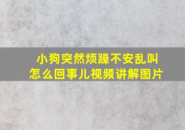 小狗突然烦躁不安乱叫怎么回事儿视频讲解图片