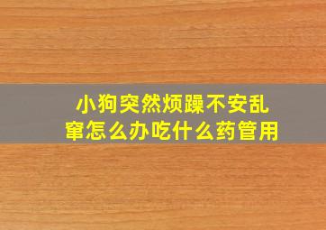 小狗突然烦躁不安乱窜怎么办吃什么药管用