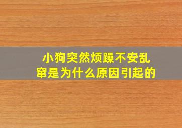 小狗突然烦躁不安乱窜是为什么原因引起的