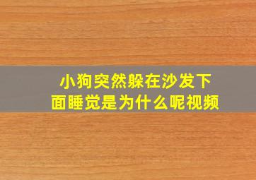 小狗突然躲在沙发下面睡觉是为什么呢视频