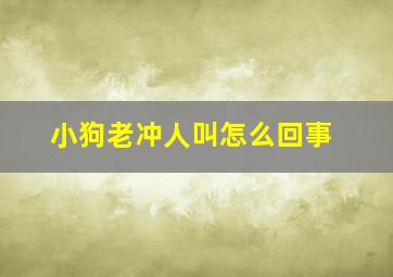 小狗老冲人叫怎么回事