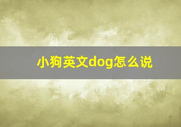 小狗英文dog怎么说