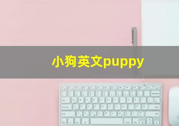 小狗英文puppy