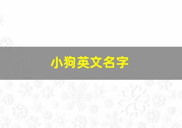 小狗英文名字