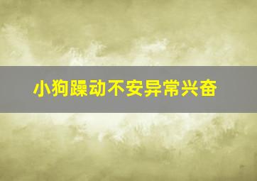 小狗躁动不安异常兴奋