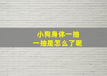 小狗身体一抽一抽是怎么了呢