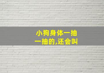 小狗身体一抽一抽的,还会叫