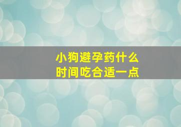 小狗避孕药什么时间吃合适一点