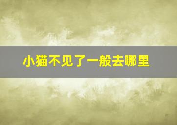 小猫不见了一般去哪里