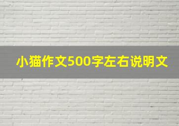 小猫作文500字左右说明文