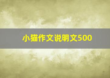 小猫作文说明文500