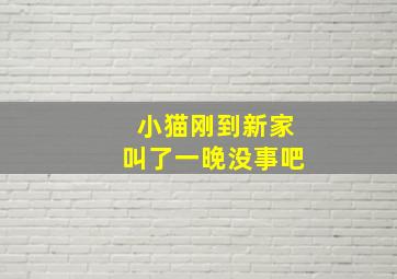 小猫刚到新家叫了一晚没事吧